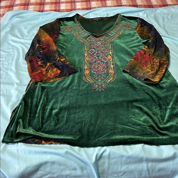 Colorful Embroidered Velvet Blouse - Picture 1 of 4